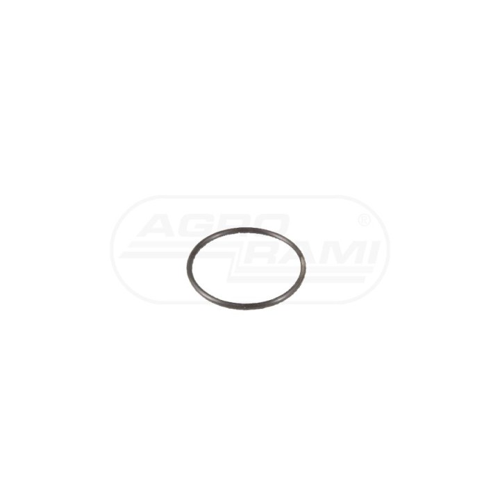 Oring 3010501Z1 6005019383