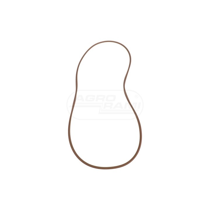 O-ring 87625355 Case IH