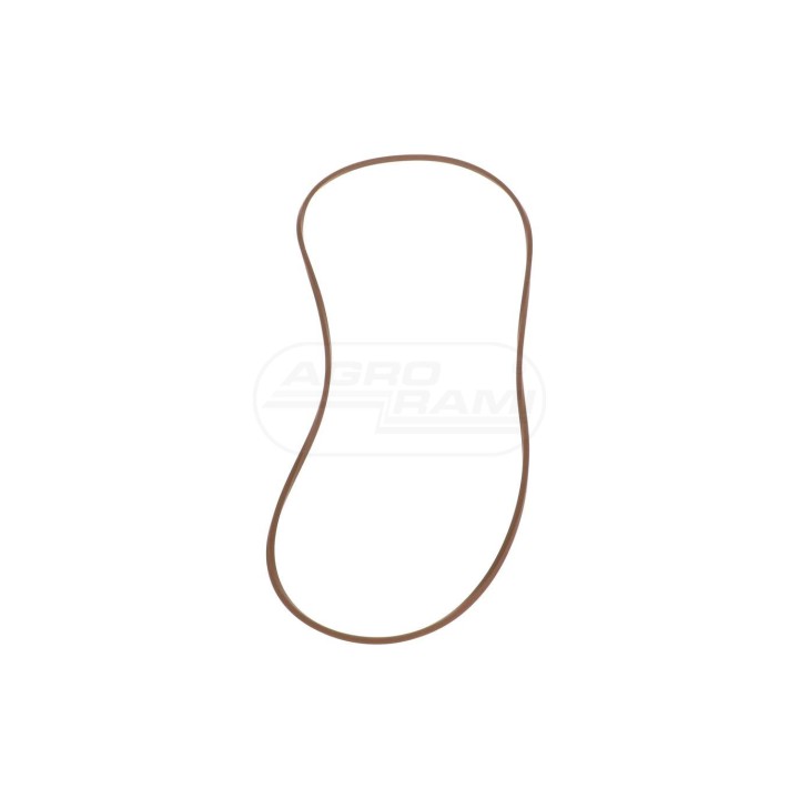 O-ring 87625355 Case IH