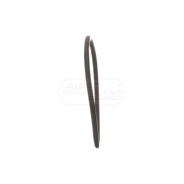O-ring 86509814, 1009659M1, 22410R1, 238-5233 Case IH