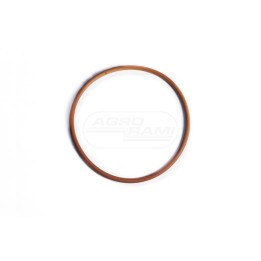 O-ring 84448024 Case IH