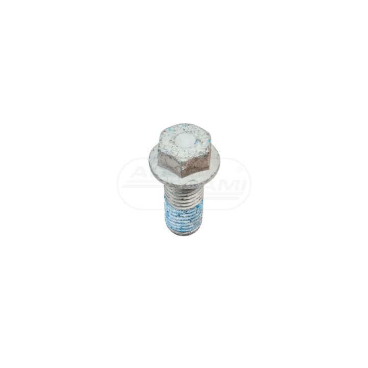 Śruba 20x45 Horsch 00360195