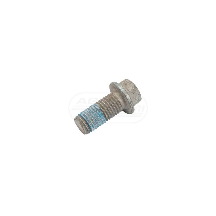 Śruba 20x45 Horsch 00360195