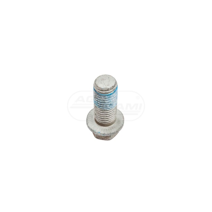 Śruba 20x45 Horsch 00360195