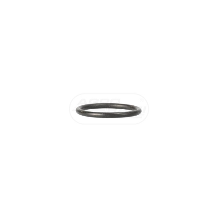 O-RING 162000060722 Case IH