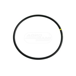 O-RING 3228348R1GV Case IH