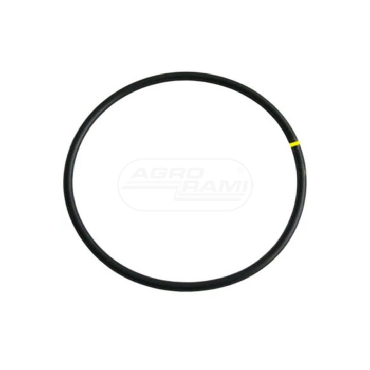 O-RING 3228348R1GV Case IH