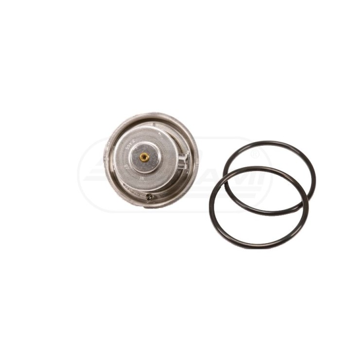 Termostat BEHR / MAHLE F1192000500040 04224841, 04224846 MAHLE | BEHR
