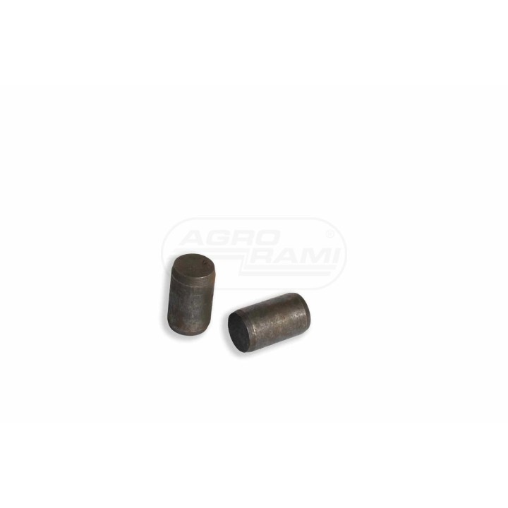 Kołek ustalający 4985063 Case IH