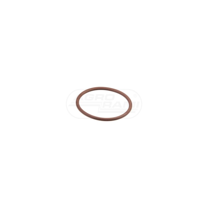 O-ring 17283381 Case IH