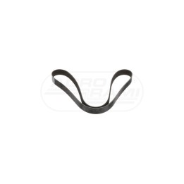 Pas , 35.5mm W x 1696mm L, 10 Ribs 47531260 Case IH