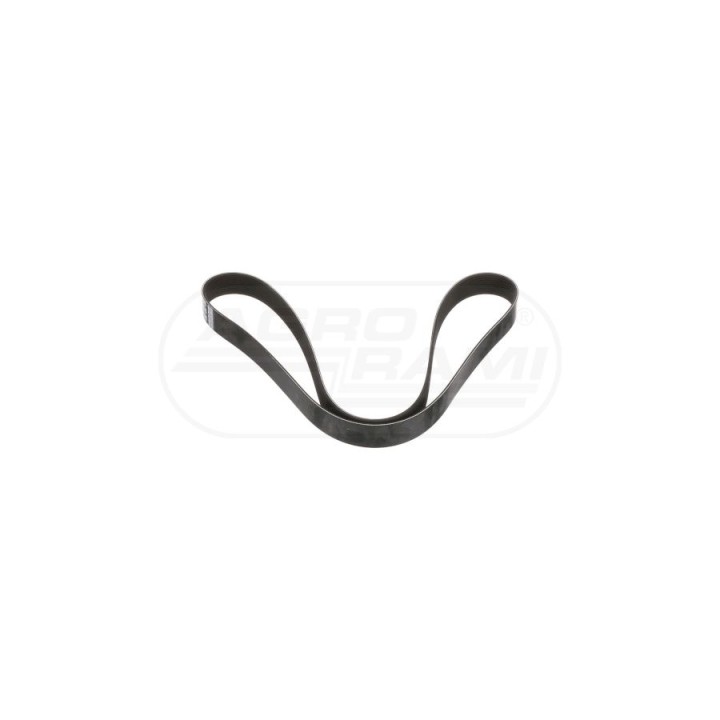 Pas , 35.5mm W x 1696mm L, 10 Ribs 47531260 Case IH