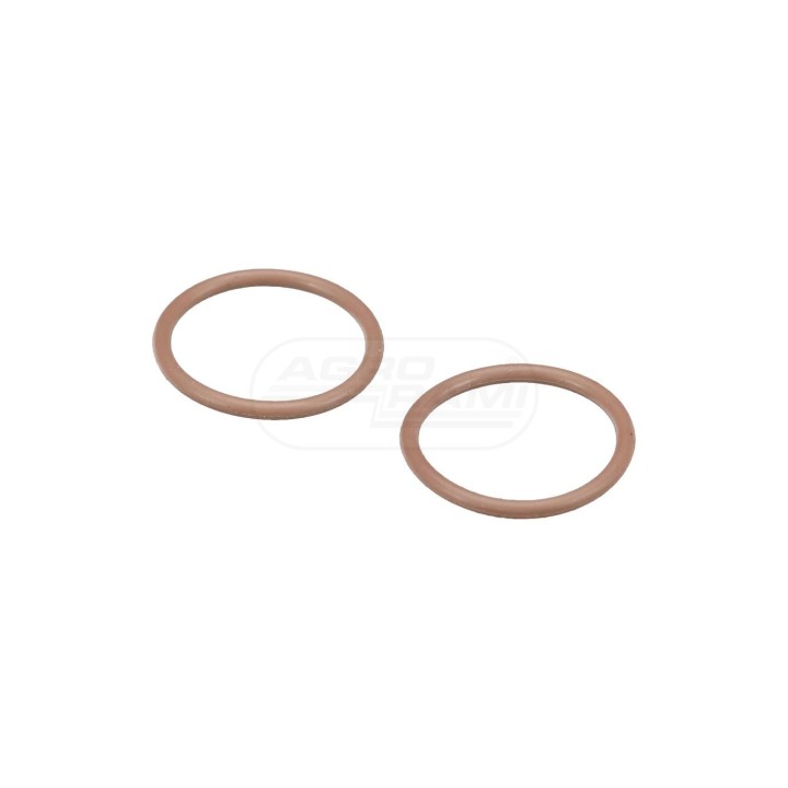 O-ring 10319983 Case IH