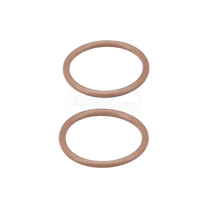O-ring 10319983 Case IH