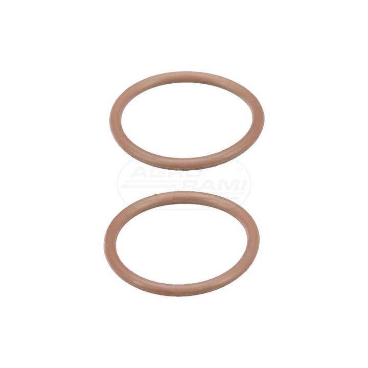 O-ring 10319983 Case IH