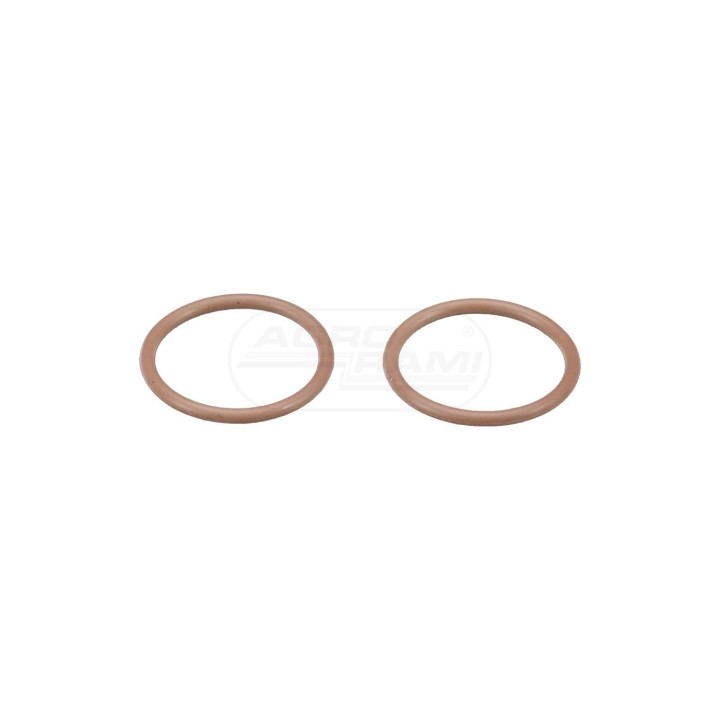 O-ring 10319983 Case IH