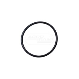 Oring Z44829