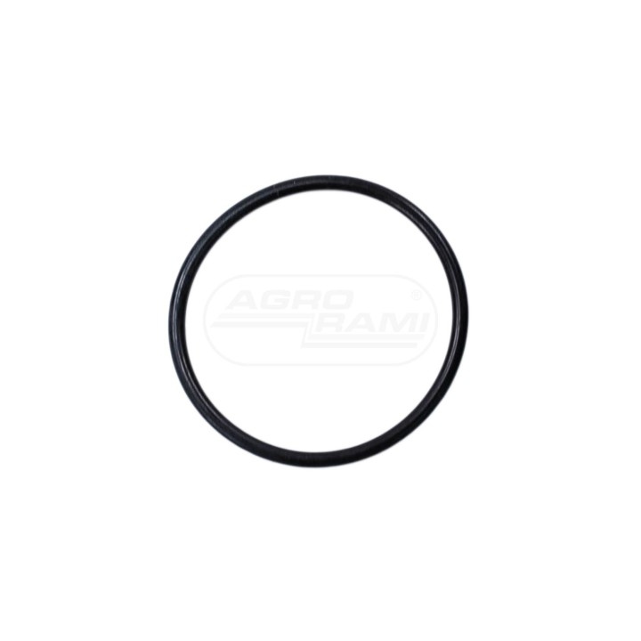 Oring Z44829