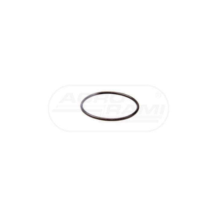 O-ring 134920A1, 122019A1 Case IH