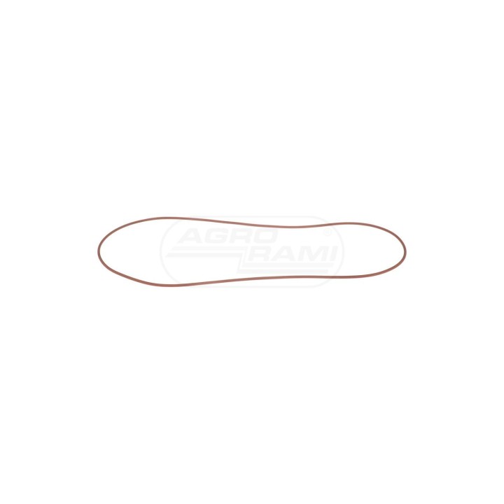 O-ring 14469481 Case IH