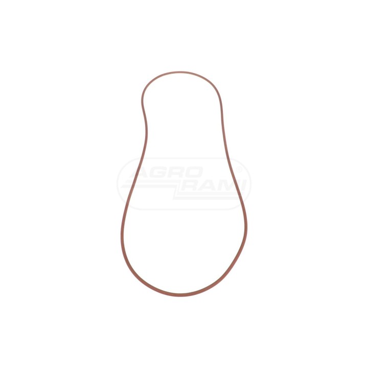O-ring 14469481 Case IH
