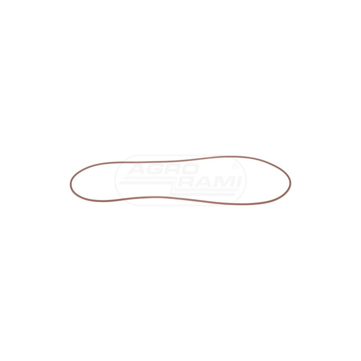 O-ring 14469481 Case IH