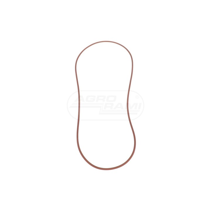 O-ring 14469481 Case IH