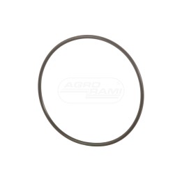 O-ring 84550359 Case IH