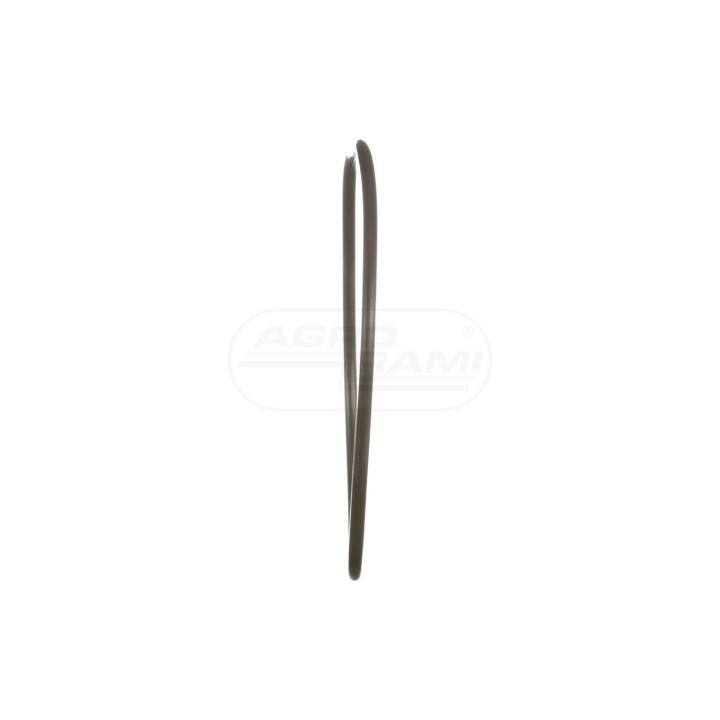 O-ring 84550359 Case IH