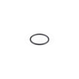 O-ring 87304661 Case IH
