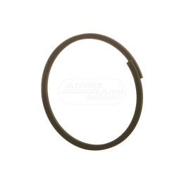 Pierścień uszczelniający 47937254, S2610S00F, 90-7046T93 Case IH