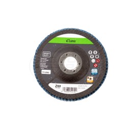 Tarcza 125x22.23 P60 TF12560