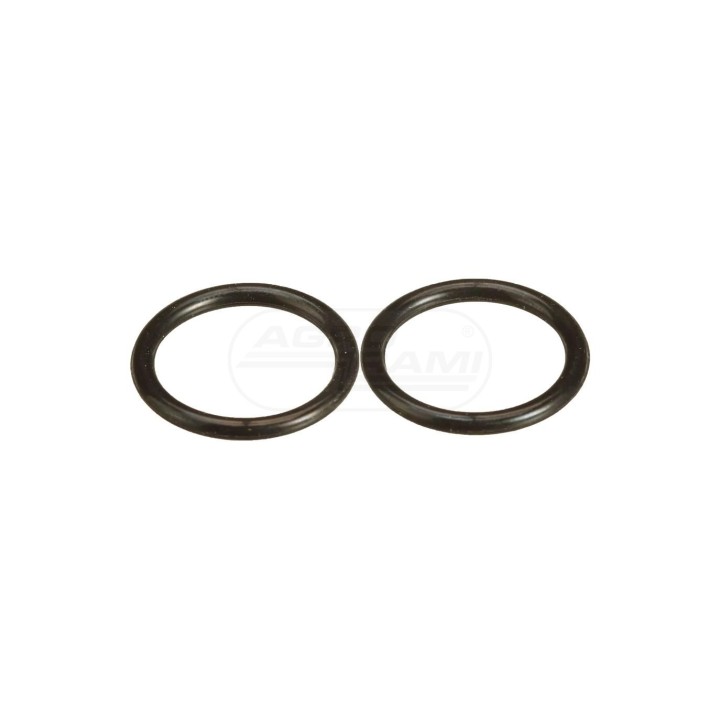 O-ring 154487A1 Case IH
