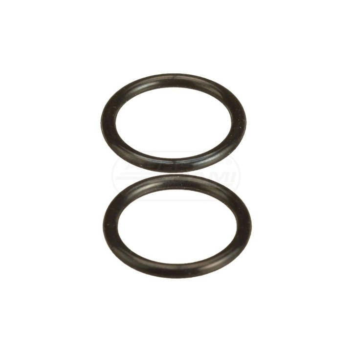 O-ring 154487A1 Case IH