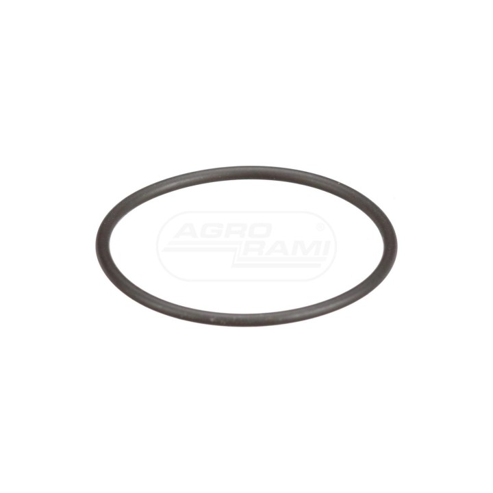 O-RING 8097979 Case IH