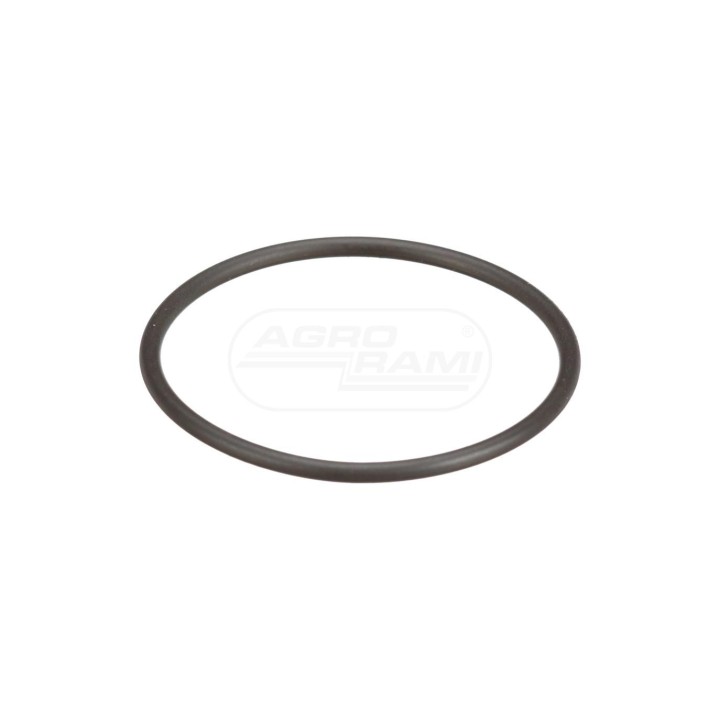 O-RING 8097979 Case IH