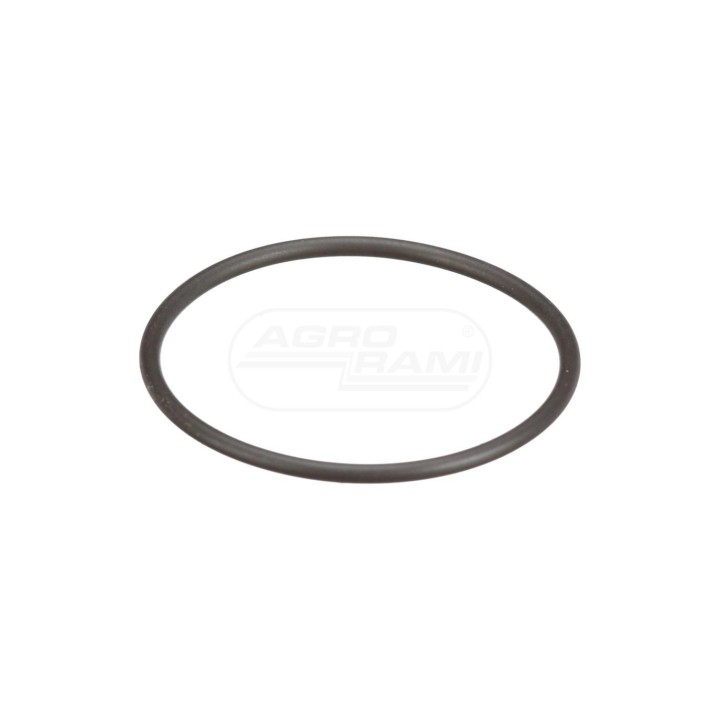 O-RING 8097979 Case IH