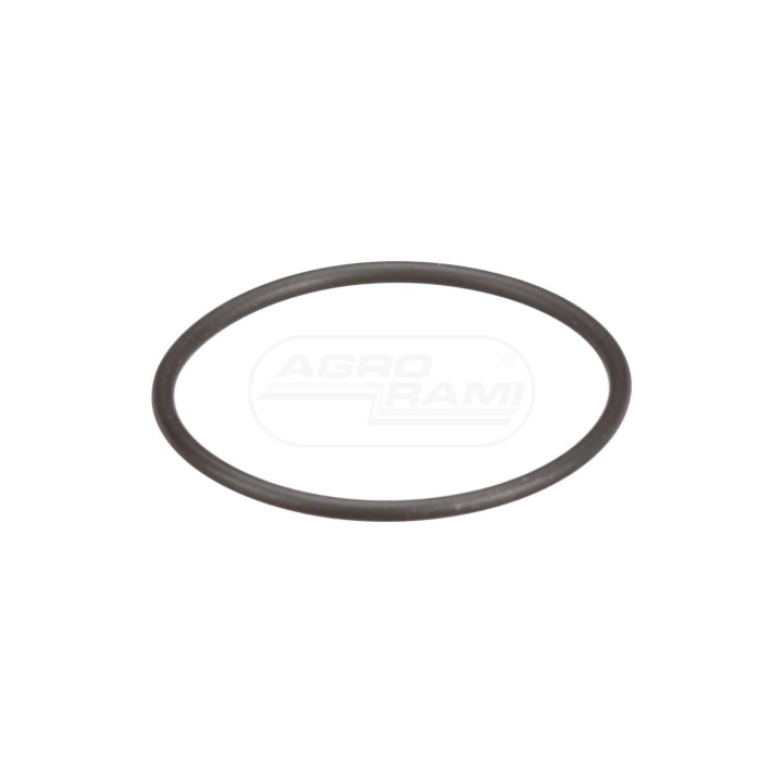 O-RING 8097979 Case IH