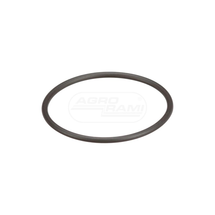 O-RING 8097979 Case IH