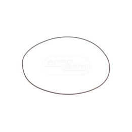 O-RING 14487781 Case IH