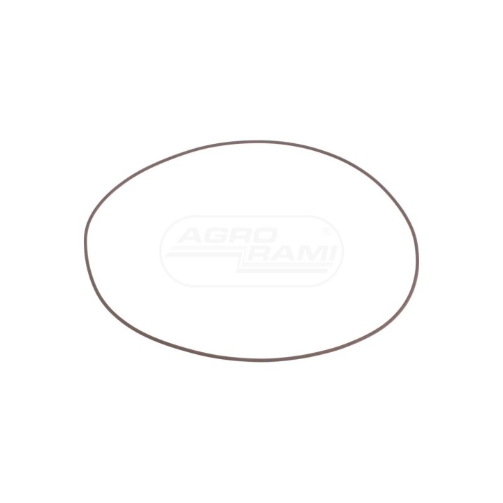 O-RING 14487781 Case IH