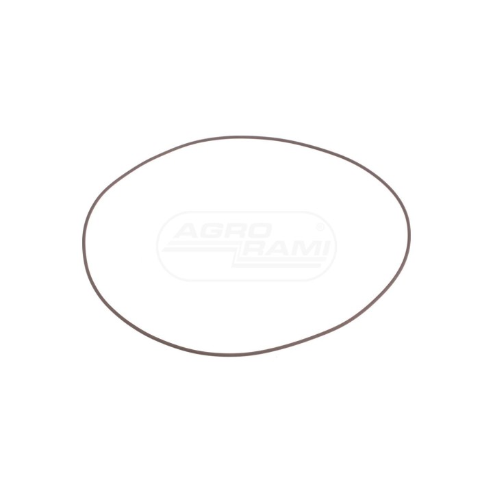O-RING 14487781 Case IH