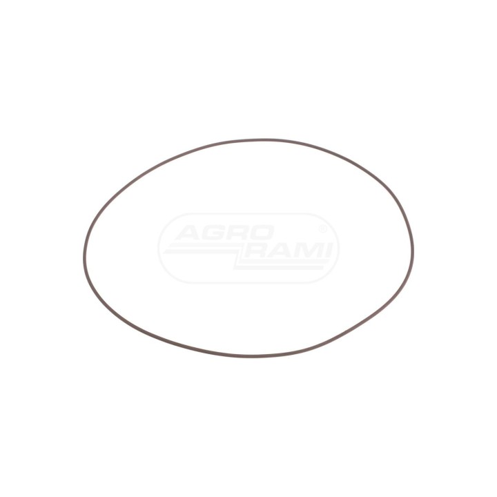 O-RING 14487781 Case IH