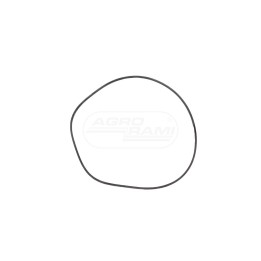 Oring 25/416-30 5105534 87388219 4997212