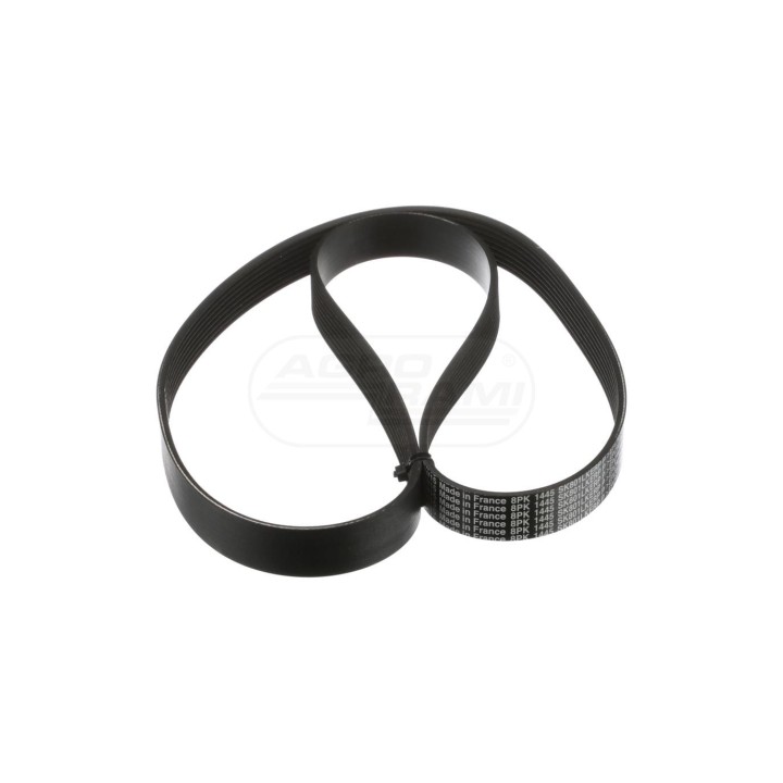 Pas 8PK1445 47610667 Case IH