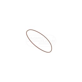 O-ring 17286681, 14462181 Case IH