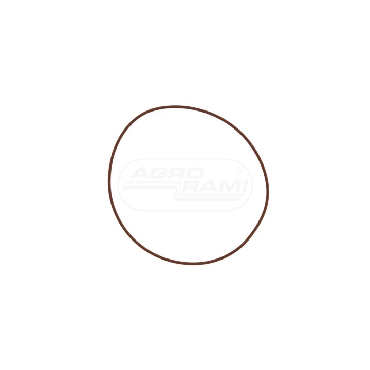 O-ring 17286681, 14462181 Case IH