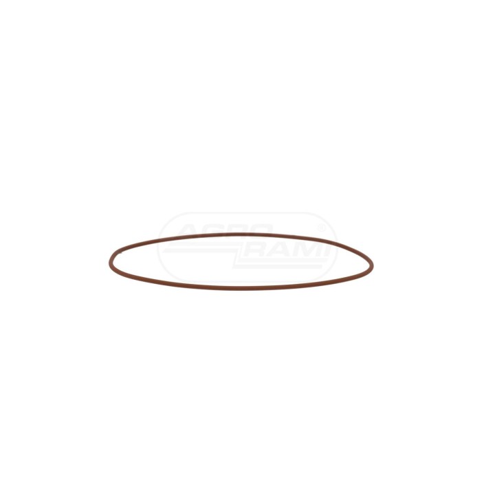 O-ring 17286681, 14462181 Case IH