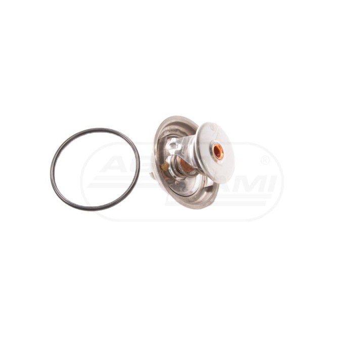 Termostat 22/143-59 F824200050060