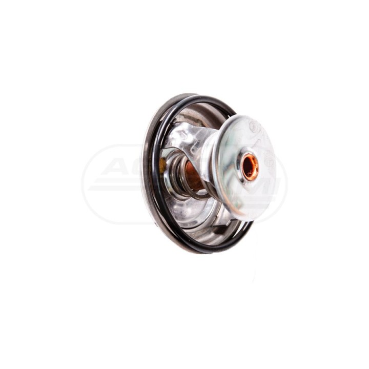 Termostat 22/143-59 F824200050060